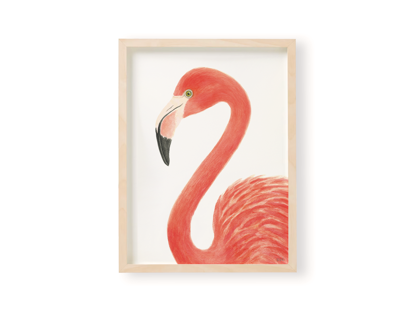 Flamingo Prints