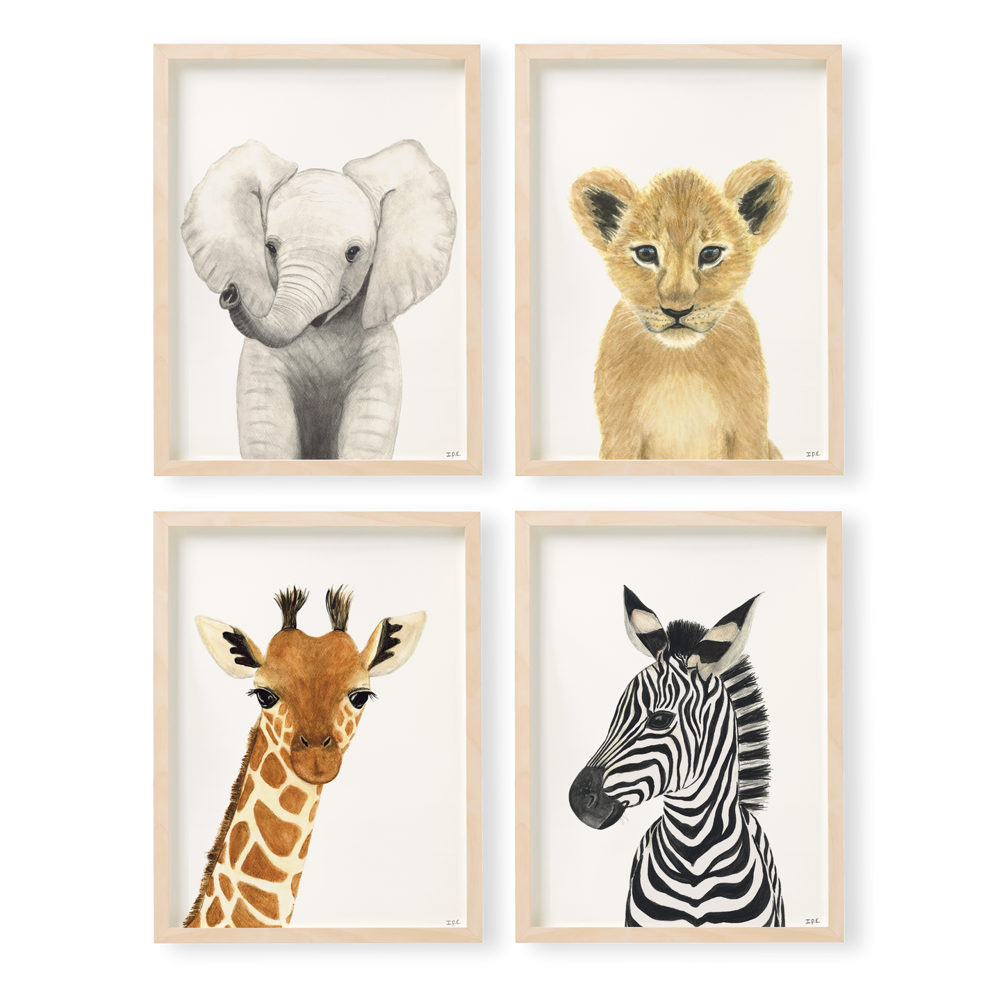 Set of 4: giraffe, elephant, zebra and lion cub prints
