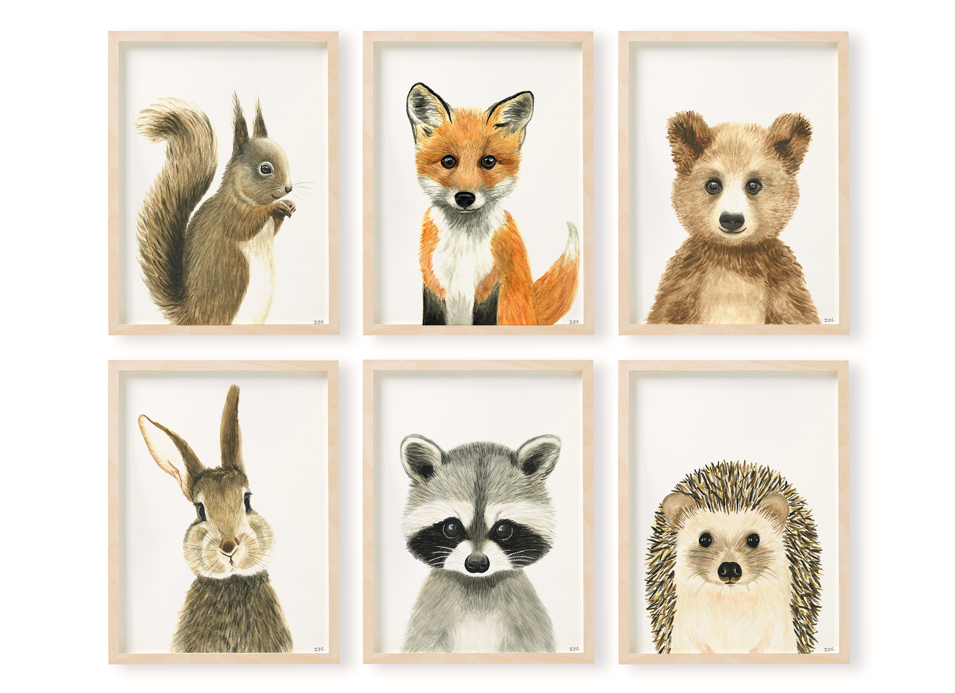 Set of 6 woodland animals in wooden frames: squirrel, racoon, rabbit, bear, hedgehog and fox