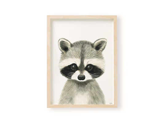 Raccoon animal print in wooden frame