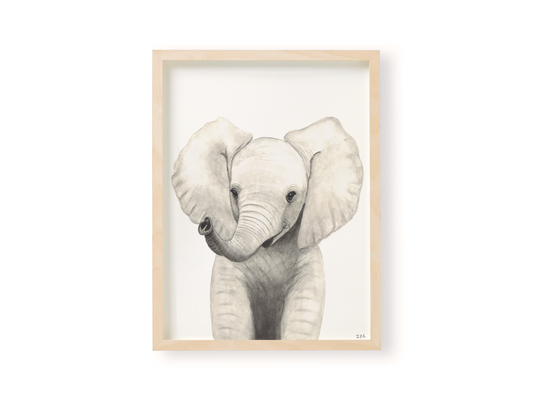 Framed elephant animal print
