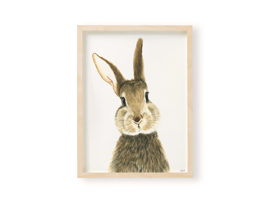 Rabbit bunny in wooden frame