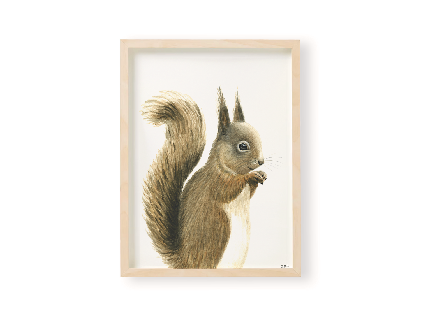 Squirrel animal print in wooden frame