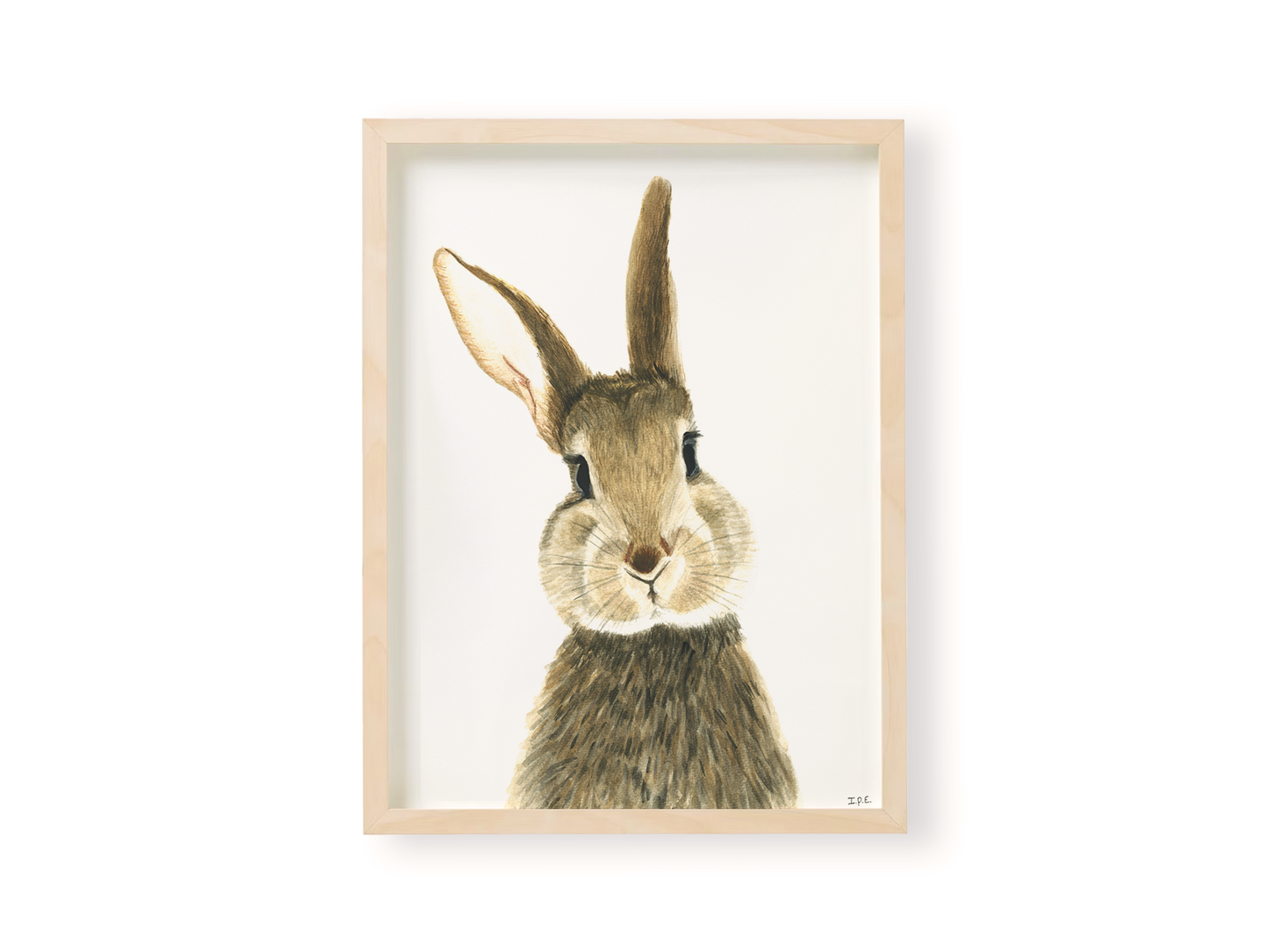 Bunny rabbit animal print in wooden frame