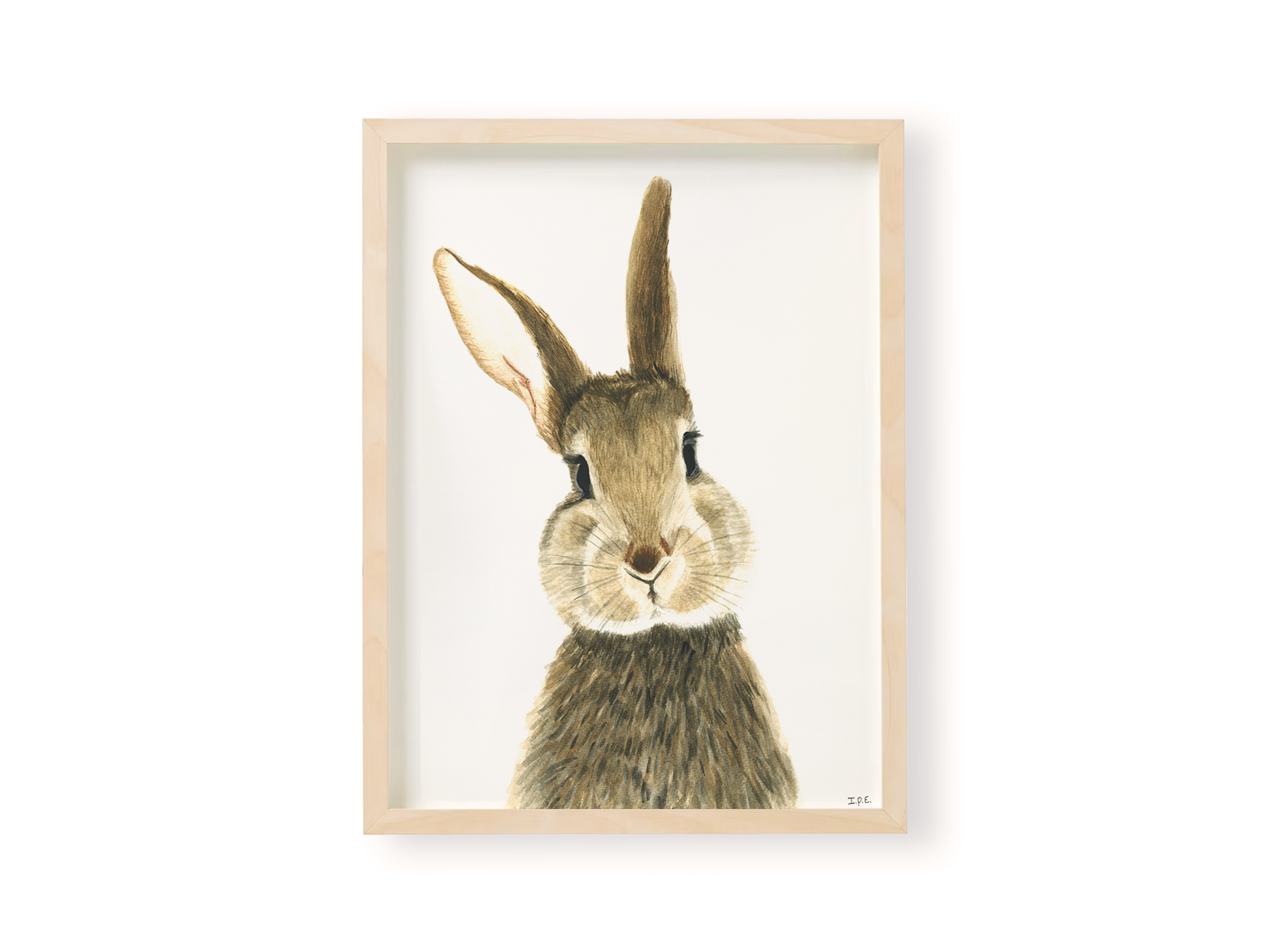 Rabbit wall art print in wooden frame