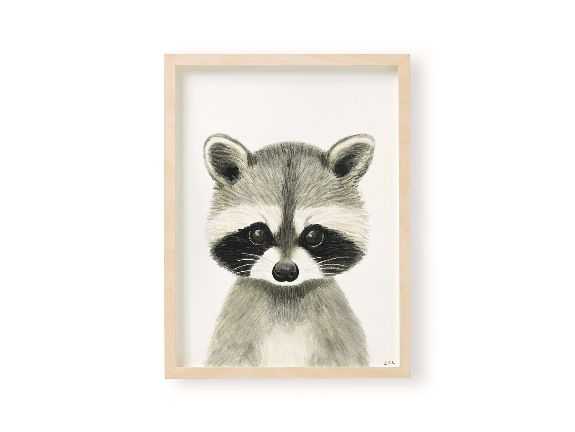 Racoon nursery print in wooden frame