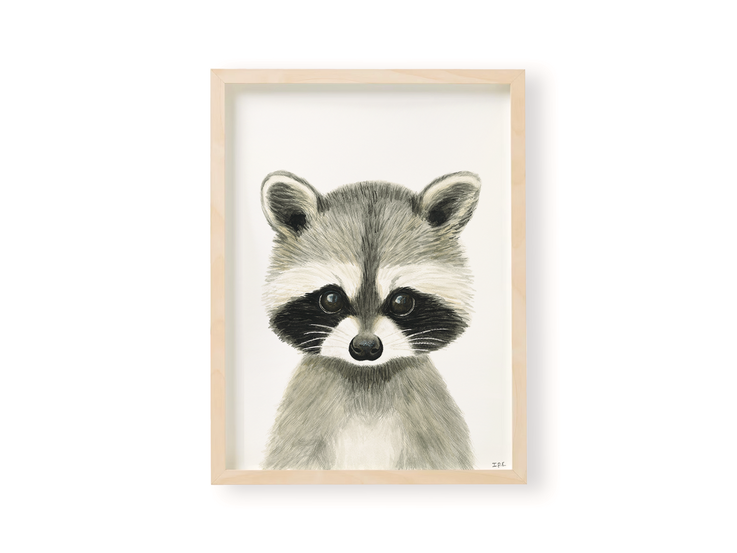 Racoon animal print in wooden frame