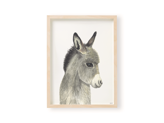Framed donkey art print
