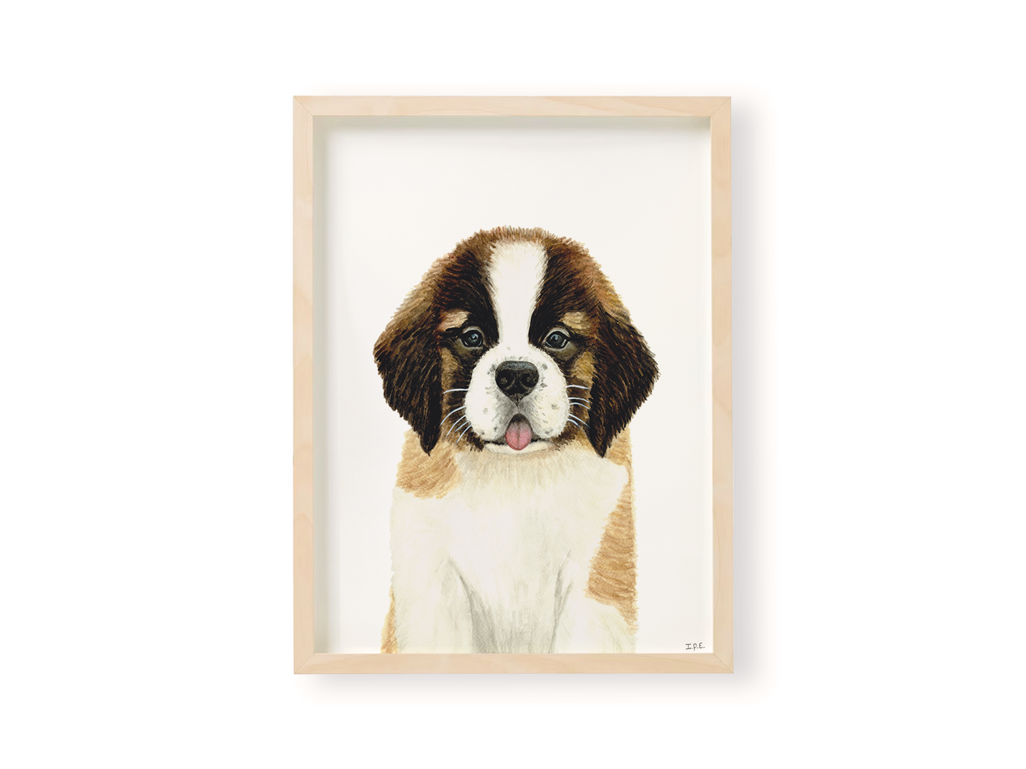 Saint Bernard dog animal print in wooden frame