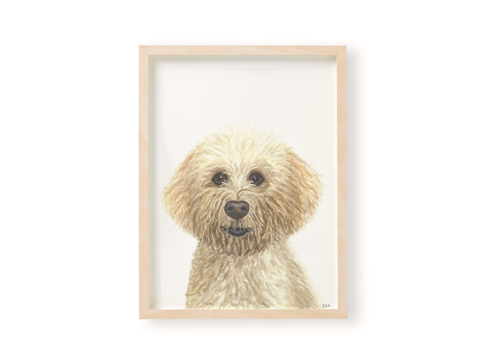 Lagotto Romagnolo dog in wooden frame