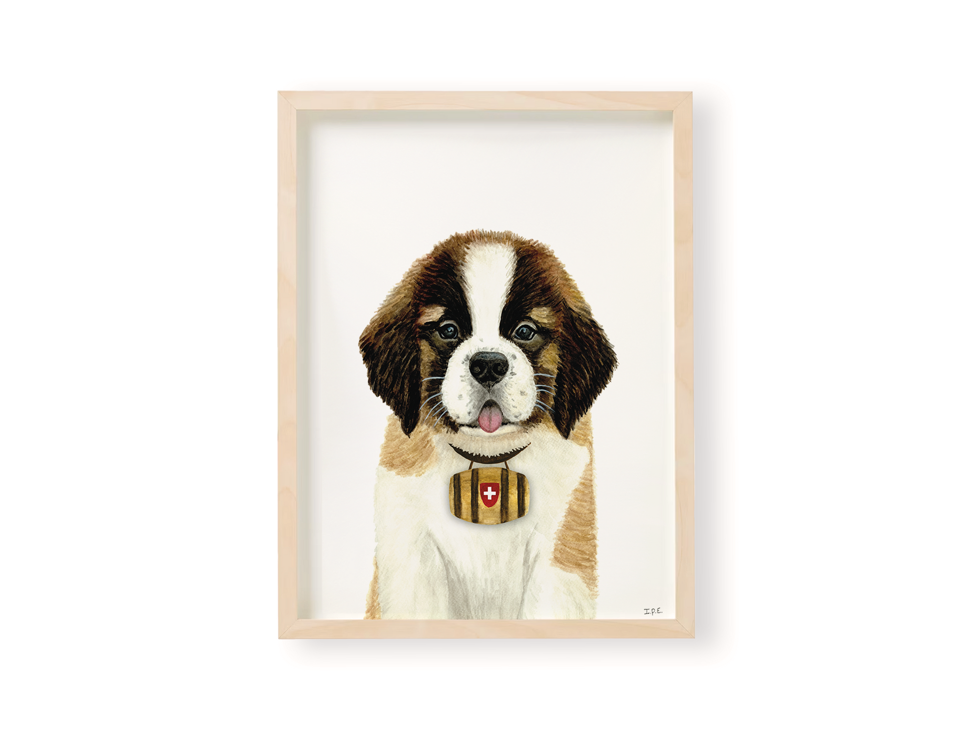 St. bernard with barrel Swiss dog print in wooden frame