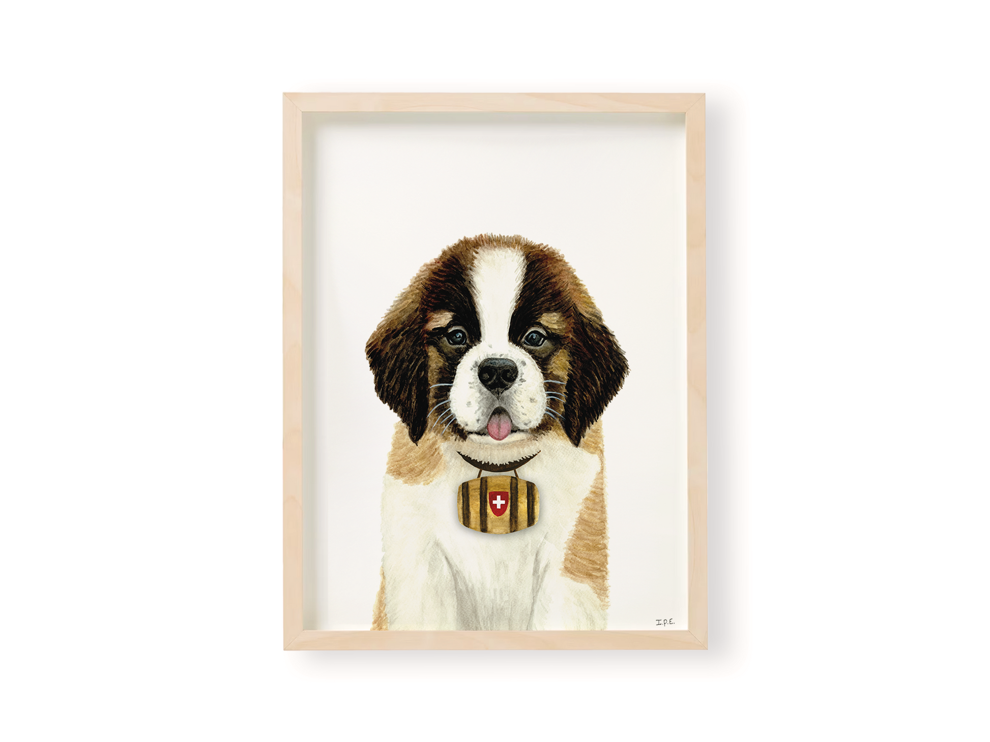 Saint Bernard animal print with barrel in wooden frame