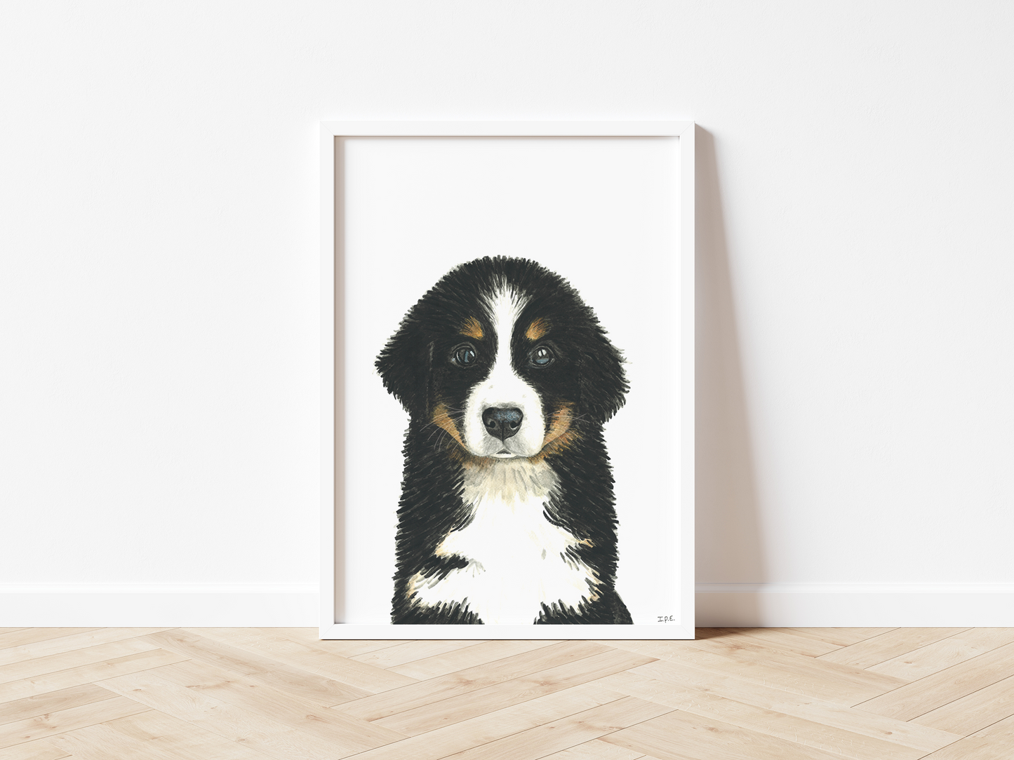 Framed Bernese Mountain Dog print on wooden floor